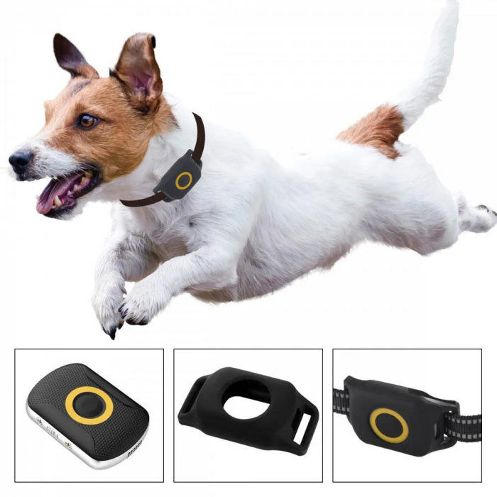 GPS pentru Animalele de Companie cu Aplicații iOS și Android si Istoric Extins [2]